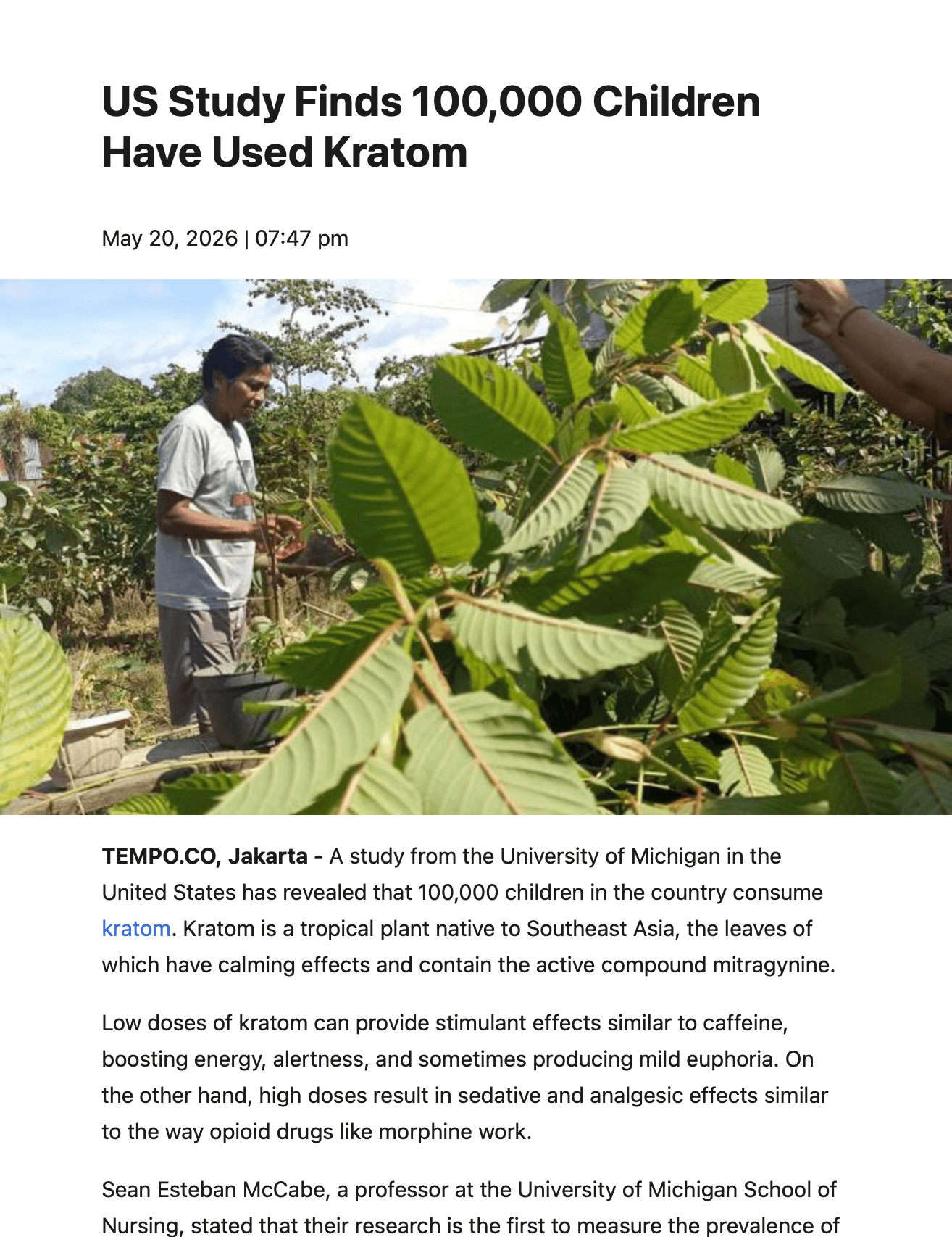 Article from Tempo English titled, "US Study Finds 100,000 Children Have Used Kratom"